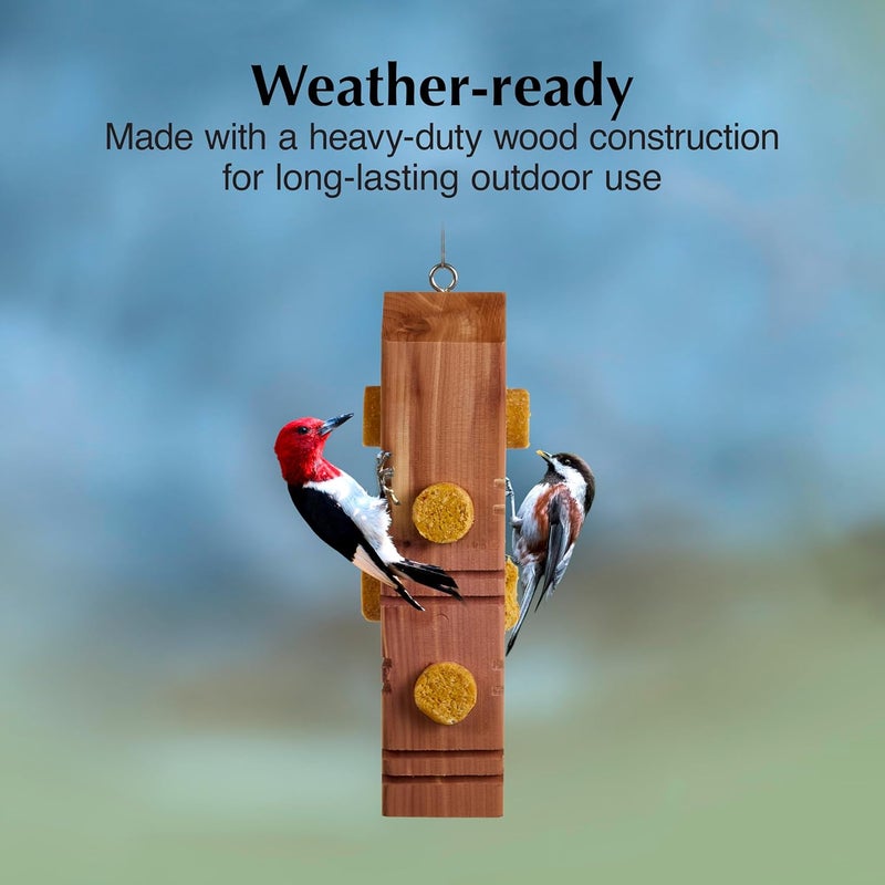 CS Wild Bird Food Suet Plug Wood Feeder - Image 2